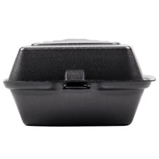 Darnel Foam Hinged Food Container