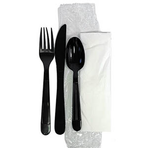 Disposable Wrapped Cutlery Kit